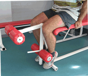 Leg levers 2025 exercise